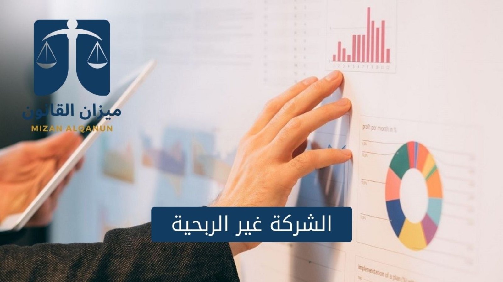 الشركة غير الربحية